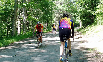 1st rest stop
