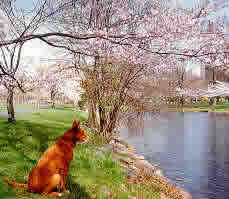 By a lagoon