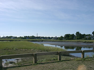 Salt Marsh